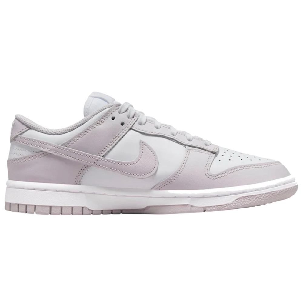 nike dunk low-top in color venice